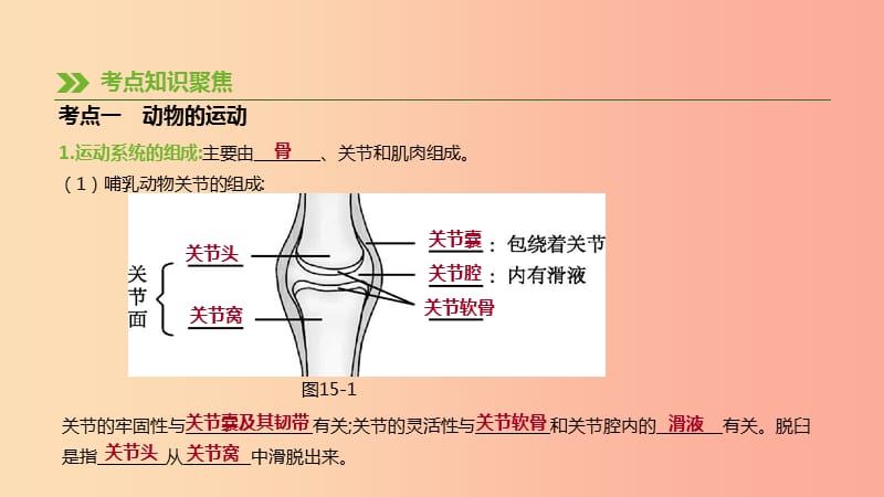 内蒙古包头市2019年中考生物第五单元生物圈中的其他生物第15课时动物的运动和行为复习课件.ppt_第3页