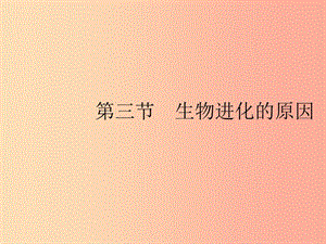 八年级生物下册 第七单元 生物圈中生命的延续和发展 第三章 生命起源和生物进化 第三节 生物进化的原因.ppt