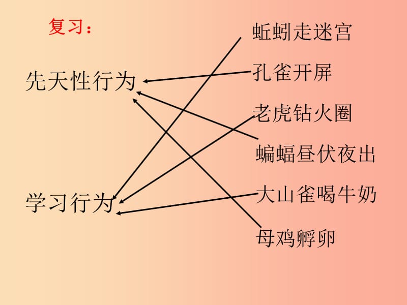 吉林省通化市八年級生物上冊 5.2.3社會行為課件 新人教版.ppt_第1頁