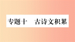 重慶市2019年中考語文 第2部分 古詩文積累與閱讀 專題10 古詩文積累習題課件.ppt