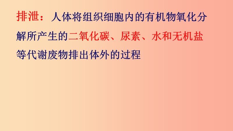 内蒙古鄂尔多斯市达拉特旗七年级生物下册 4.5 人体内废物的排出课件 新人教版.ppt_第2页