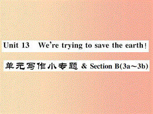 （安徽專版）2019年秋九年級(jí)英語(yǔ)全冊(cè) Unit 13 We’re trying to save the earth寫(xiě)作小專題新人教 新目標(biāo)版.ppt