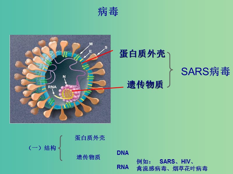 陕西省蓝田县高中生物第一章走近细胞1.1从生物圈到细胞课件2新人教版必修1 .ppt_第3页