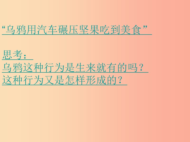 吉林省通化市八年级生物上册 5.2.2先天性行为和学习行为课件 新人教版.ppt_第2页