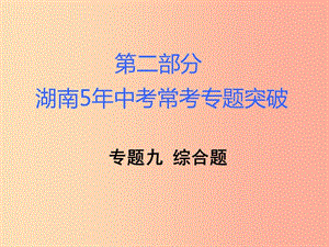 湖南省2019年中考化學(xué)復(fù)習(xí) 第二部分 重點(diǎn)專(zhuān)題突破 專(zhuān)題九 綜合題課件.ppt