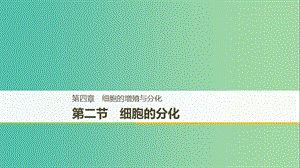 2018-2019版高中生物 第四章 細(xì)胞的增殖與分化 第二節(jié) 細(xì)胞的分化課件 浙科版必修1.ppt