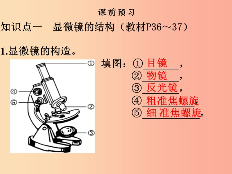 2019年七年级生物上册第二单元第一章第一节练习使用显微镜课件 新人教版.ppt_第3页