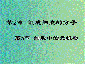 陜西省藍(lán)田縣高中生物 第二章 組成細(xì)胞的分子 第5節(jié) 細(xì)胞中的無機(jī)物1課件 新人教版必修1.ppt