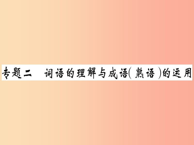 （貴州專版）2019春八年級(jí)語(yǔ)文下冊(cè) 專題復(fù)習(xí)二 詞語(yǔ)的理解與成語(yǔ)（熟語(yǔ)）的運(yùn)用習(xí)題課件 新人教版.ppt_第1頁(yè)