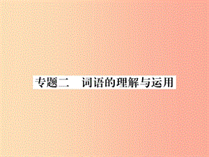 2019年九年級語文上冊 專題2 詞語的理解與運用課件 語文版.ppt