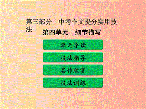 廣東省中考語文二輪復(fù)習(xí) 第三部分 中考作文提分實(shí)用技法 第四單元 細(xì)節(jié)描寫課件 新人教版.ppt