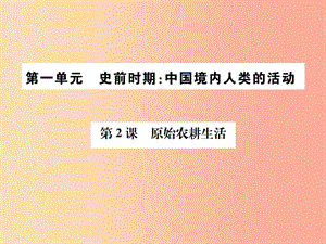 2019年秋七年級歷史上冊 第2課 原始農(nóng)耕生活習(xí)題課件 新人教版.ppt