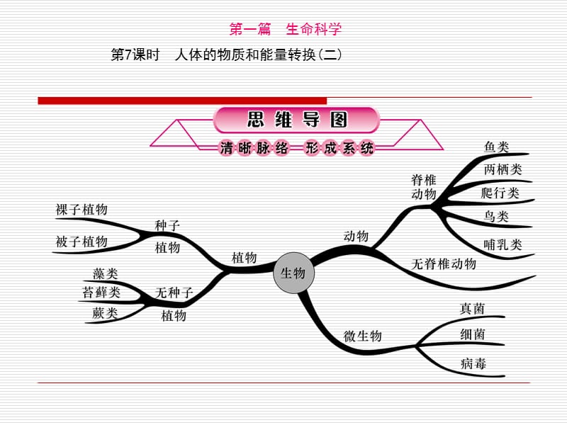 人体的物质和能量转换.ppt_第1页