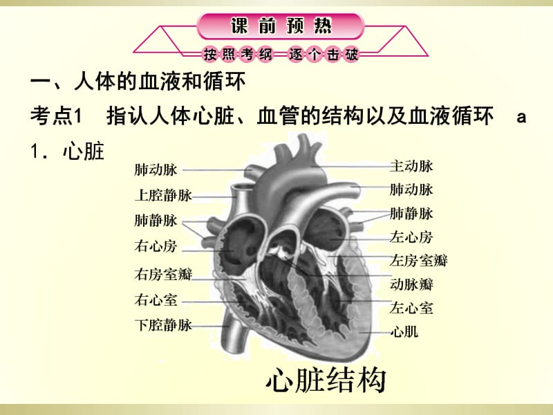 人体的物质和能量转换.ppt_第2页