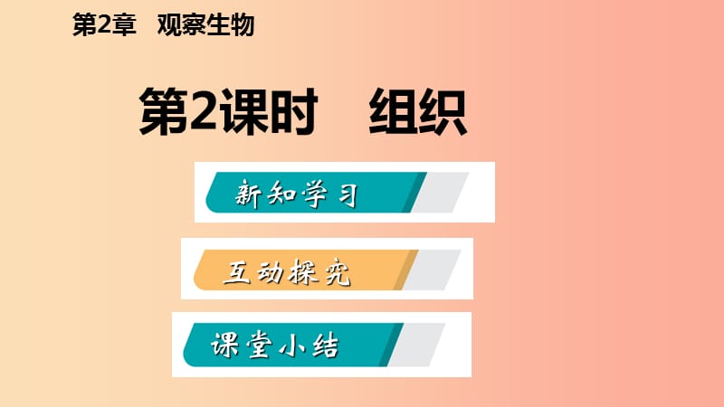 2019年秋七年级科学上册 第2章 观察生物 第3节 生物体的结构层次 2.3.2 导学课件（新版）浙教版.ppt_第2页