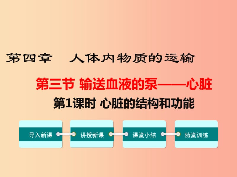 七年級(jí)生物下冊(cè) 第四單元 第四章 第三節(jié) 輸送血液的泵 心臟（第1課時(shí) 心臟的結(jié)構(gòu)和功能）課件 新人教版.ppt_第1頁