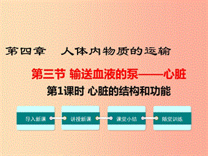 七年級生物下冊 第四單元 第四章 第三節(jié) 輸送血液的泵 心臟（第1課時 心臟的結(jié)構(gòu)和功能）課件 新人教版.ppt