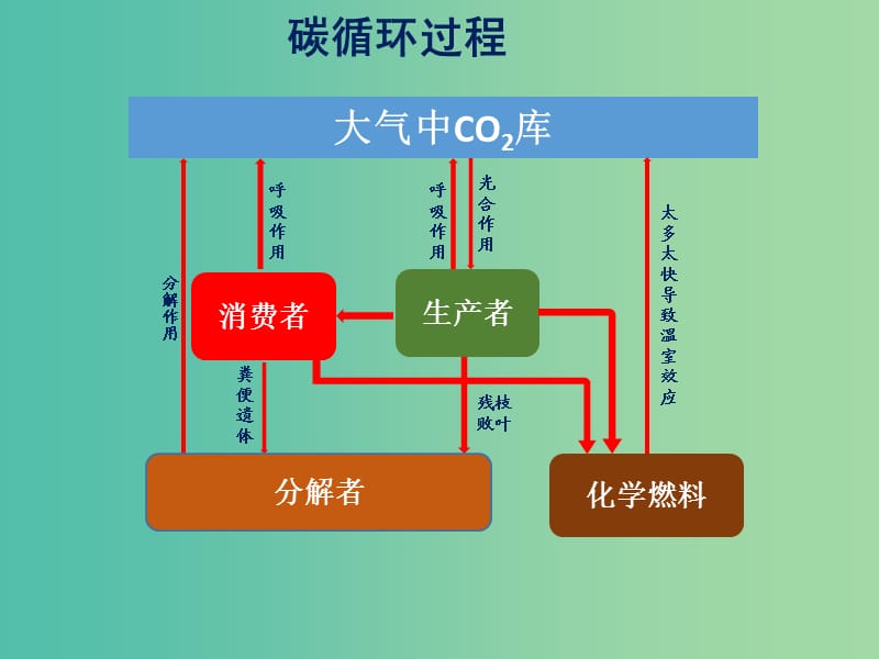 高考生物 高频考点37 碳循环过程素材.ppt_第1页