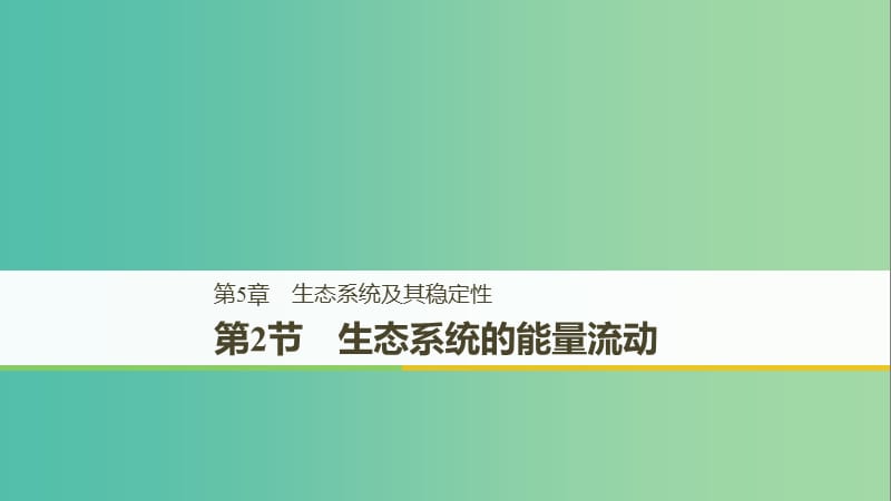 2018-2019學(xué)年高中生物 第5章 生態(tài)系統(tǒng)及其穩(wěn)定性 5.2 生態(tài)系統(tǒng)的能量流動課件 新人教版必修3.ppt_第1頁