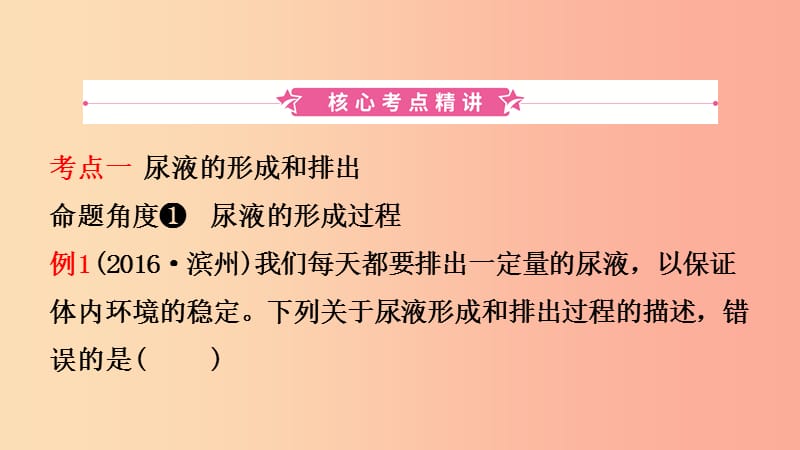 山东省2019年中考生物总复习 第三单元 生物圈中的人 第四章 人体内代谢废物的排出课件.ppt_第2页