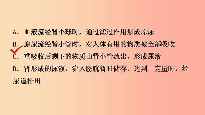 山东省2019年中考生物总复习 第三单元 生物圈中的人 第四章 人体内代谢废物的排出课件.ppt_第3页