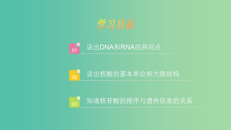 高中生物 第二章 组成细胞的分子 2.3 遗传信息的携带者课件 新人教版必修1.ppt_第2页