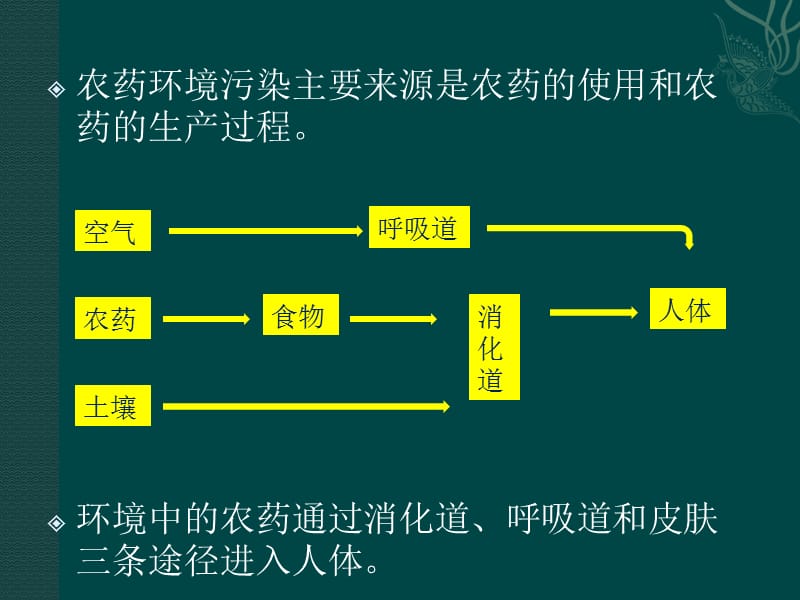 农药的环境毒理学-上课.ppt_第3页