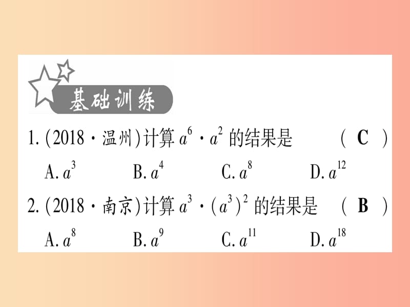 宁夏专版2019中考数学复习第1轮考点系统复习第1章数与式第2节整式与因式分解作业课件.ppt_第2页