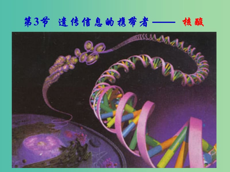 陕西省蓝田县高中生物 第二章 组成细胞的分子 第3节 遗传信息的携带者课件 新人教版必修1.ppt_第1页