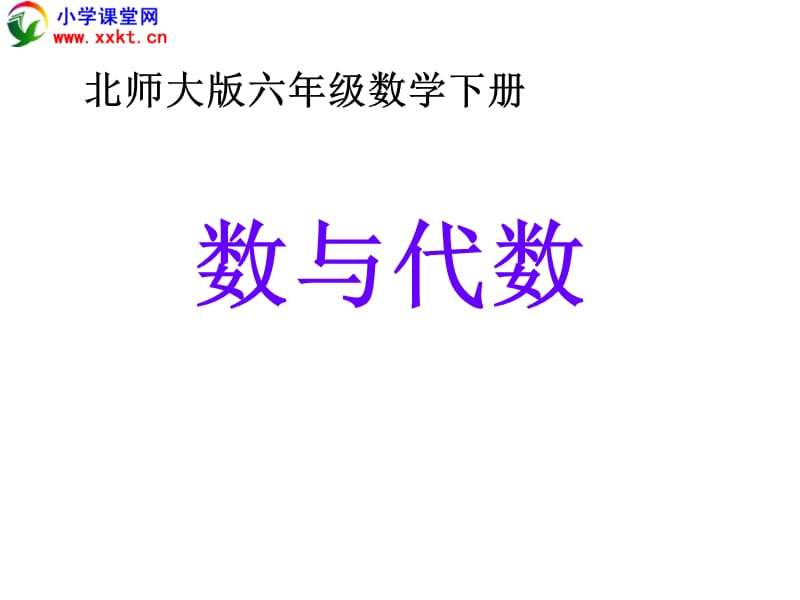 六年级数学下册《数与代数》PPT课件(北师大版).ppt_第1页