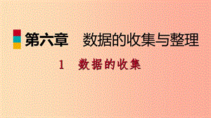 2019年秋七年級(jí)數(shù)學(xué)上冊(cè) 第六章 數(shù)據(jù)的收集與整理 6.1 數(shù)據(jù)的收集導(dǎo)學(xué)課件（新版）北師大版.ppt