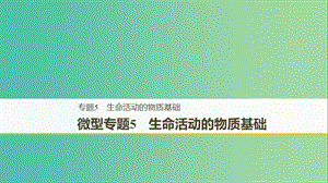 2018-2019版高中化學(xué) 專題5 生命活動(dòng)的物質(zhì)基礎(chǔ) 微型專題5 生命活動(dòng)的物質(zhì)基礎(chǔ)課件 蘇教版選修5.ppt