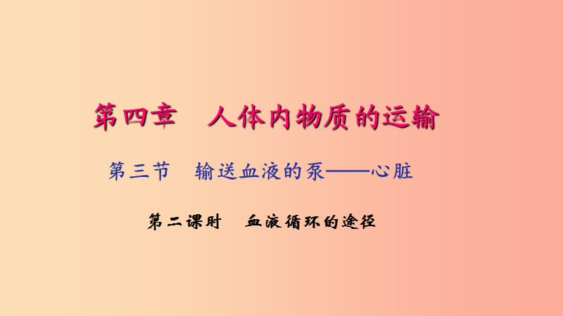 七年級生物下冊 第四單元 第四章 第三節(jié) 輸送血液的泵 心臟（第2課時 血液循環(huán)的途徑）習(xí)題課件 新人教版.ppt_第1頁