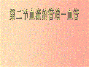 安徽省七年級生物下冊 4.4.2《血流的管道—血管》課件4 新人教版.ppt