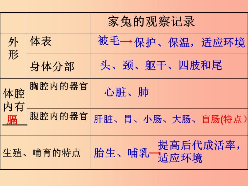 江蘇省七年級生物下冊 第10章 水中的生物課件（新版）蘇科版.ppt_第1頁