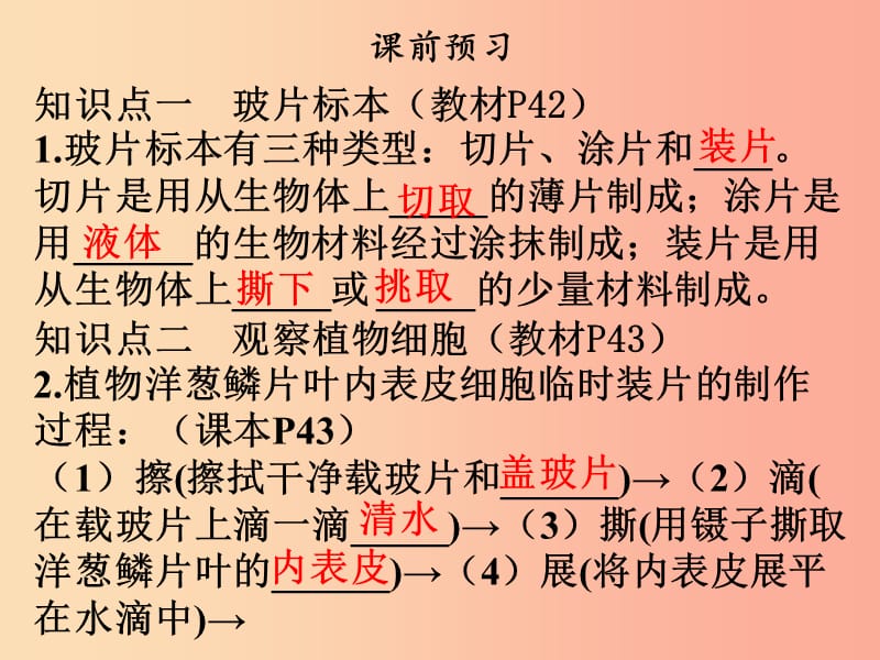 2019年七年级生物上册第二单元第一章第二节植物细胞课件 新人教版.ppt_第3页