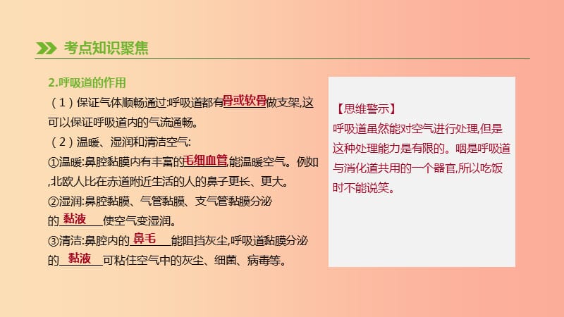 2019年中考生物 专题复习四 生物圈中的人 第13课时 人体的呼吸课件 新人教版.ppt_第3页