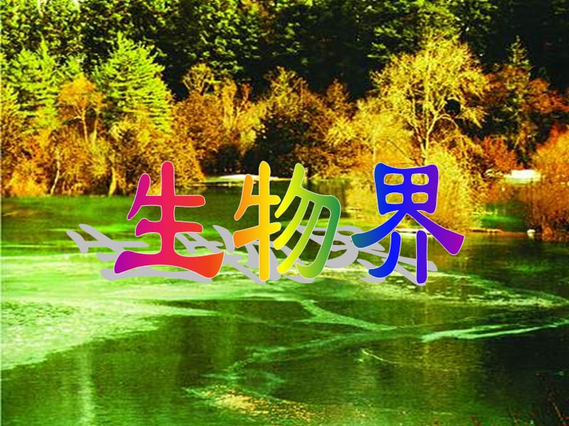 孢子植物和種子植物.ppt_第1頁