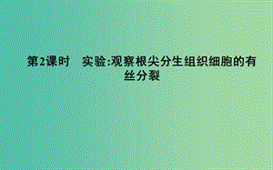 2018-2019學年高中生物 第6章 細胞的生命歷程 第1節(jié) 第2課時 實驗觀察根尖分生組織細胞的有絲分裂課件 新人教版必修1.ppt