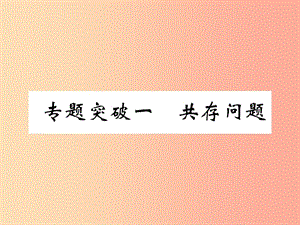 （百色專版）2019屆中考化學(xué)畢業(yè)總復(fù)習(xí) 第2編 重點專題突破篇 專題突破1 共存問題課件.ppt