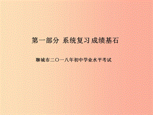 （聊城專版）2019年中考生物 第一部分 系統(tǒng)復習 成績基石 綜合檢測卷(一)課件.ppt