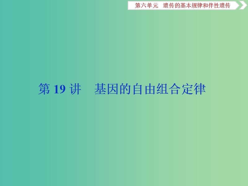 2019屆高考生物總復習 第六單元 遺傳的基本規(guī)律和伴性遺傳 第19講 基因的自由組合定律課件 新人教版.ppt_第1頁