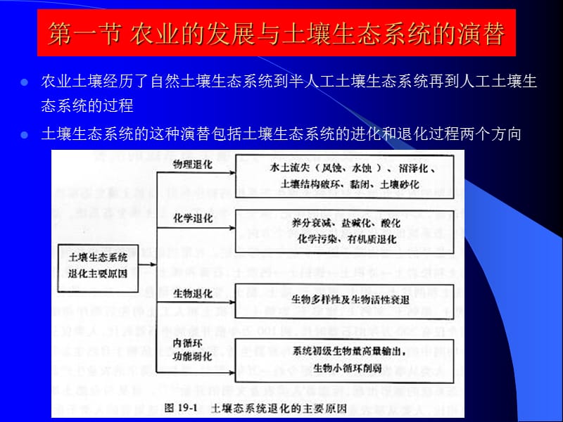 土壤生态学课件第十一章土壤生态系统保护与农业可持续发展.ppt_第2页