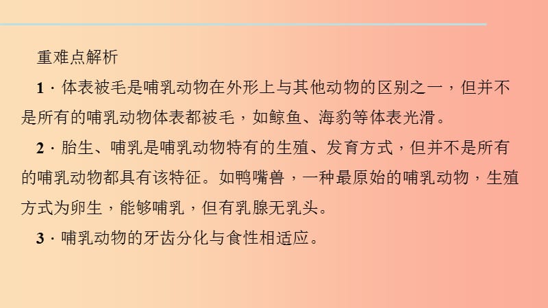 八年级生物上册第五单元第一章第七节哺乳动物习题课件 新人教版.ppt_第3页