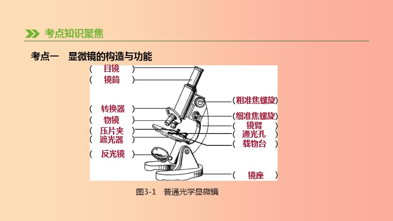 2019年中考生物 专题复习二 生物体的结构层次 第03课时 显微镜的构造与使用课件 新人教版.ppt_第2页