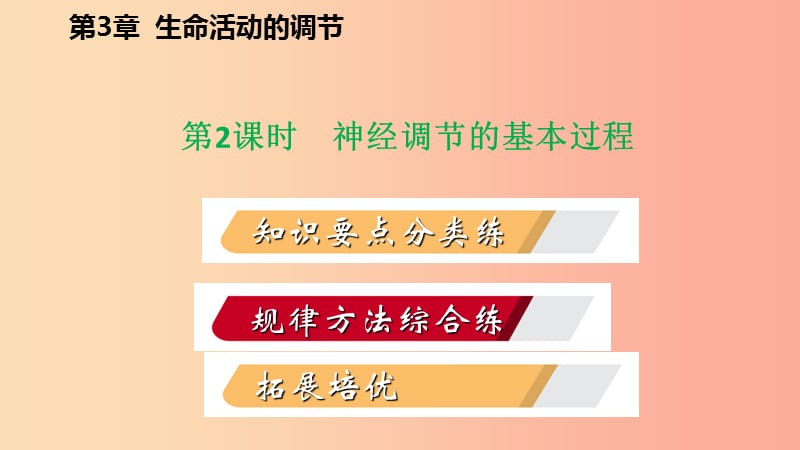 2019年秋八年级科学上册 第3章 生命活动的调节 3.3 神经调节 3.3.1 神经调节的基本过程练习课件 浙教版.ppt_第2页