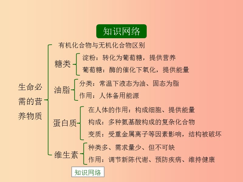 九年级化学下册专题九化学与生活单元1生命必需的营养物质复习课件新版湘教版.ppt_第2页