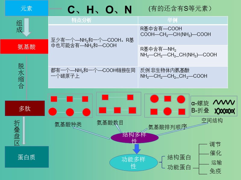 高考生物 高頻考點(diǎn)3 蛋白質(zhì)的結(jié)構(gòu)層次與功能素材.ppt_第1頁