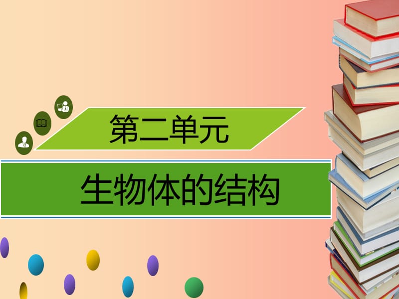 2019年秋季七年级生物上册第二单元第4章第2节生物体的器官系统习题课件（新版）北师大版.ppt_第1页