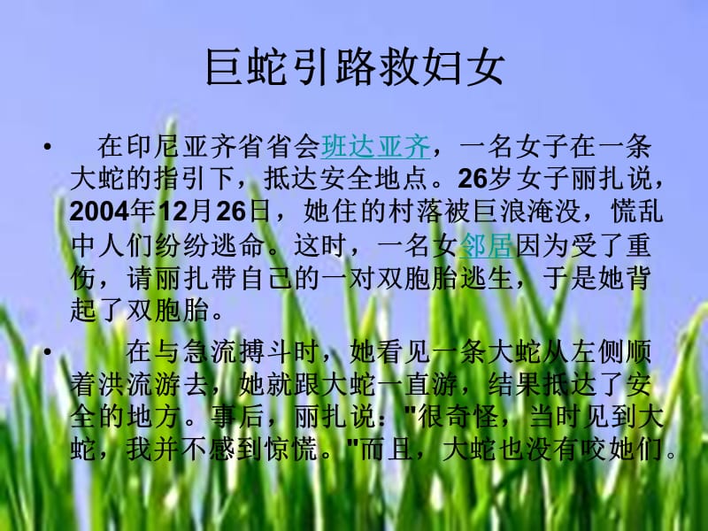 关于动物的感人故事.ppt_第3页